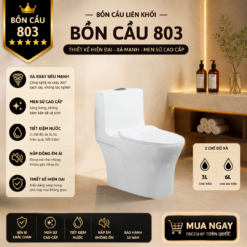 Bồn Cầu Liền Khối KT-803 Xả Xoáy Siêu Mạnh Men Sứ Cao Cấp