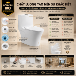 Bồn Cầu Liền Khối KT-803 Xả Xoáy Siêu Mạnh Men Sứ Cao Cấp