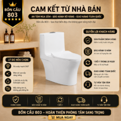 Bồn Cầu Liền Khối KT-803 Xả Xoáy Siêu Mạnh Men Sứ Cao Cấp