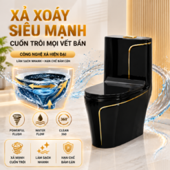 Bồn Cầu Liền Khối KT-904 Màu Đen Cao Cấp Men Nano Xả Xoáy Mạnh