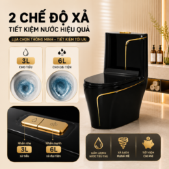 Bồn Cầu Liền Khối KT-904 Màu Đen Cao Cấp Men Nano Xả Xoáy Mạnh